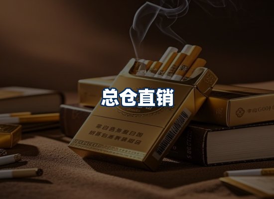 专业团队办公环境